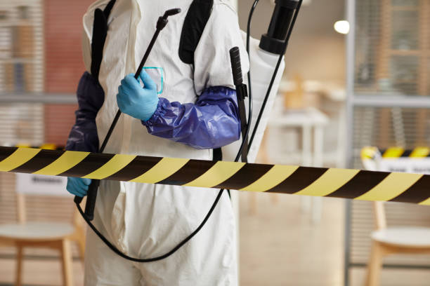 Professional Infectious Disease Decontamination technician working in Pacific Palisades, CA